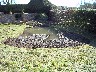 Nature Pond, Hanley Swan