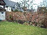 Walled Garden, Hanley Swan
